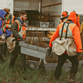 Forest Restoration Project in Sudbury, Ontario
